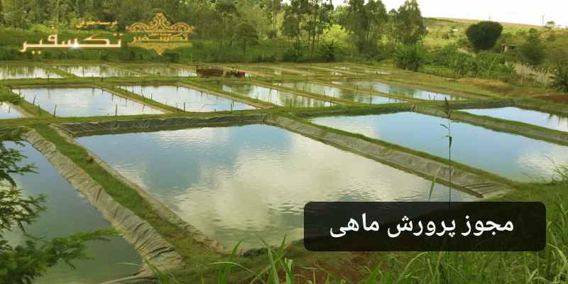 مجوز پرورش ماهی در ایران مدارک و شرایط آن تکسفیر